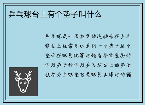 乒乓球台上有个垫子叫什么