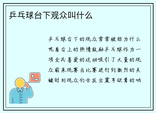 乒乓球台下观众叫什么