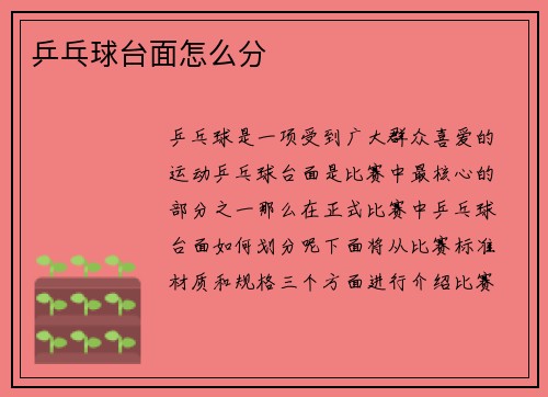 乒乓球台面怎么分
