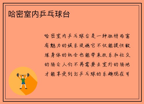 哈密室内乒乓球台